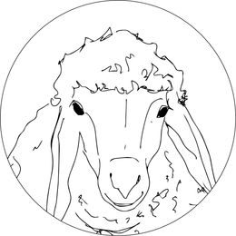 Illustrative Zeichnung eines Schafkopfes im Kreis – Symbol für Schurwolle und Spinnradl Handwerkstradition