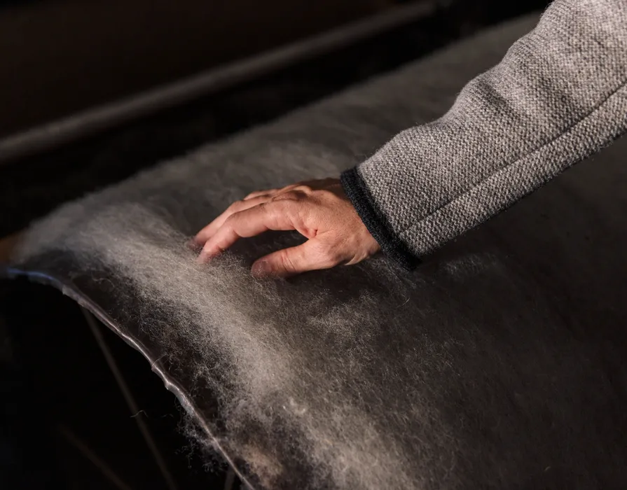 Hand in grauer Wolljacke berührt Schafwolle auf einer historischen Krempelmaschine in der Spinnerei